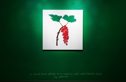 A JOURNEY TO THE UNKNOWN, Vana-V&otilde;romaa Museum, V&otilde;ru, Estonia