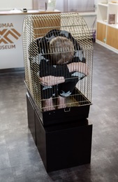 A JOURNEY TO THE UNKNOWN, Vana-V&otilde;romaa Museum, V&otilde;ru, Estonia