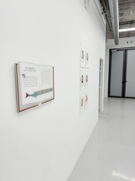 Unlearning Right From Wrong, curator Alistair Hicks, Gallery Iragui, Paris, France